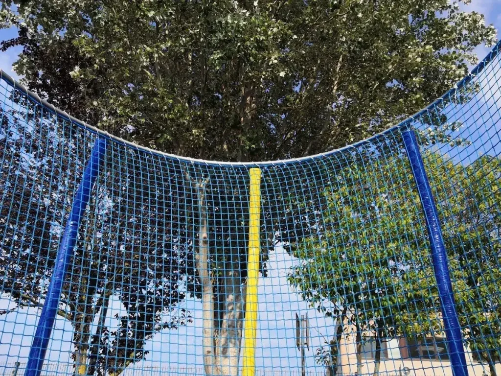 trampolino elastico professionale 240 premium f5 mostra