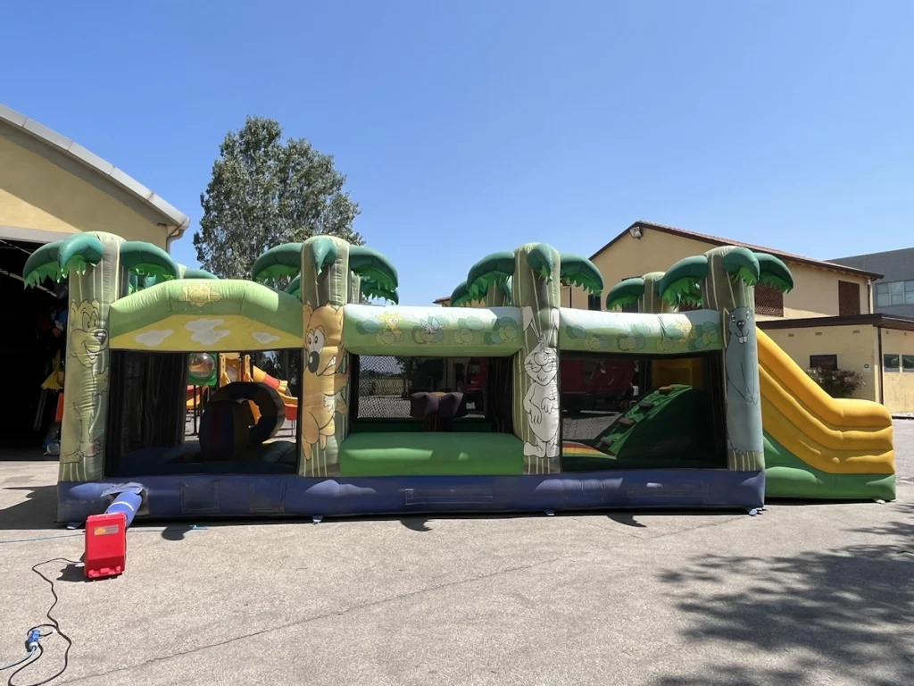 usato gioco gonfiabile multiattività percorso oasis bm f5 mostra
