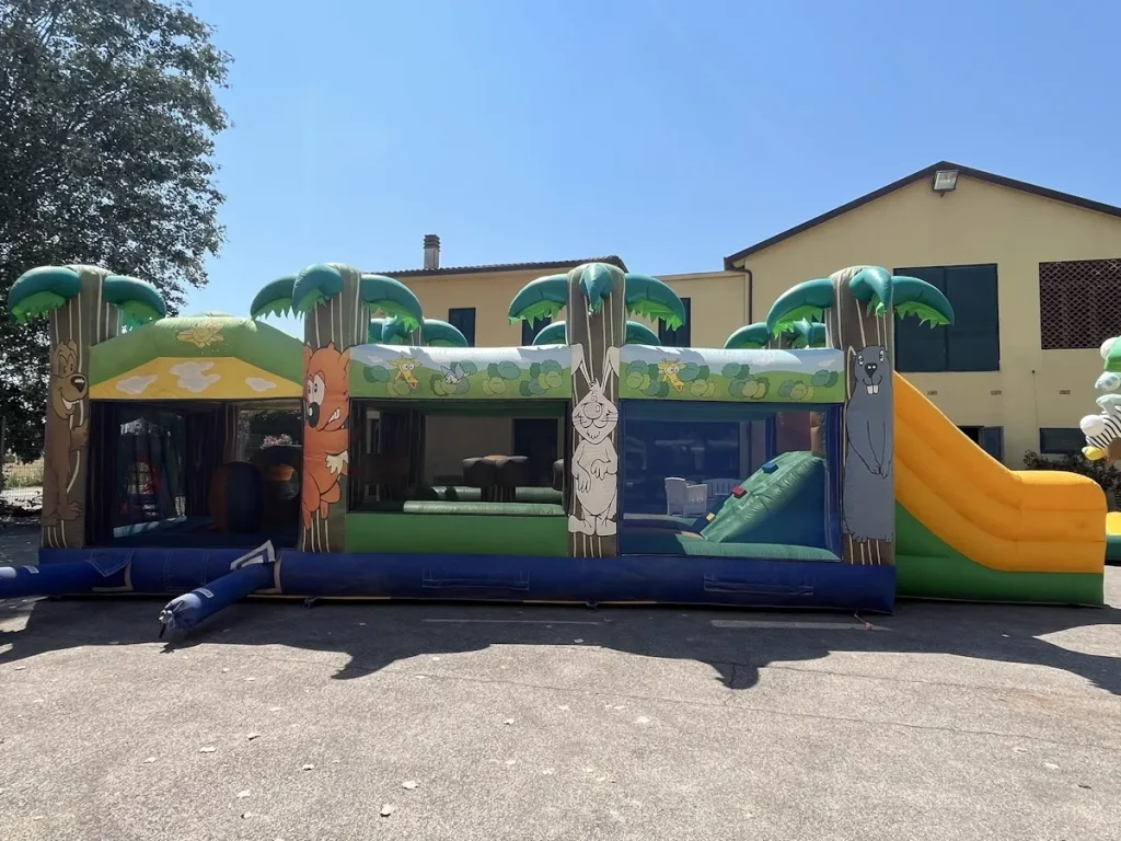 usato gioco gonfiabile multiattivita percorso oasis ls f3 mostra