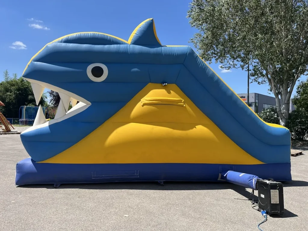 usato gioco gonfiabile scivolo fish slide hj f5 mostra
