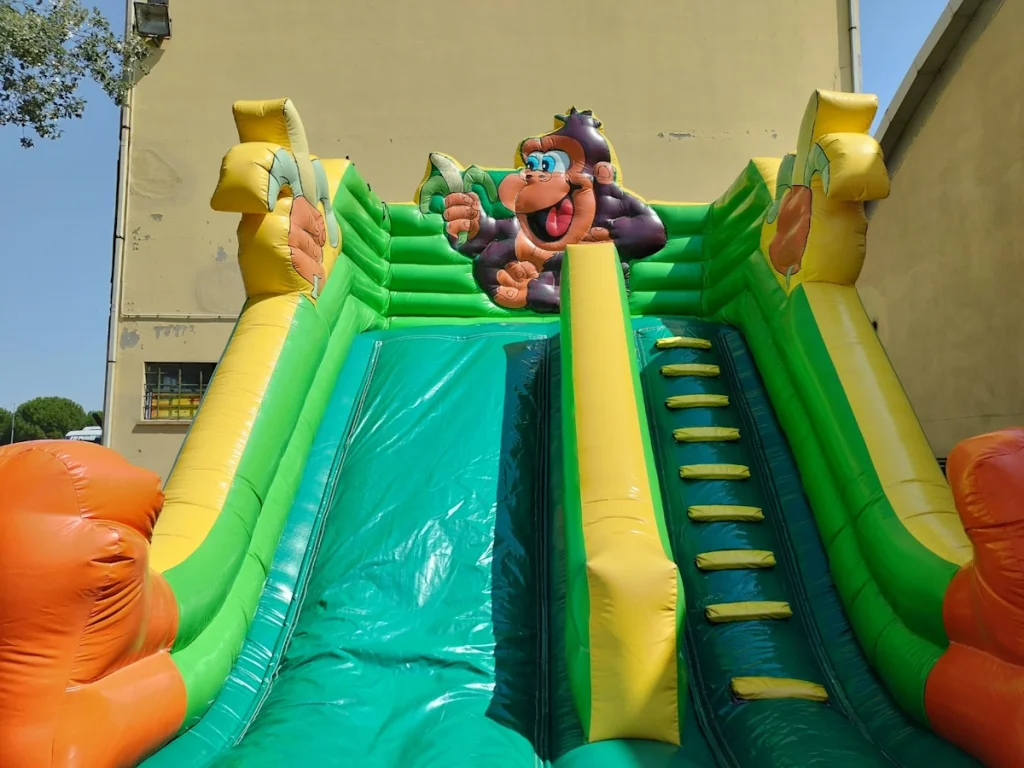usato gioco gonfiabile scivolo monkey br f4