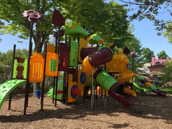 Campeggio Lago Trasimeno (PG) - 3